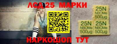 амф Новокубанск