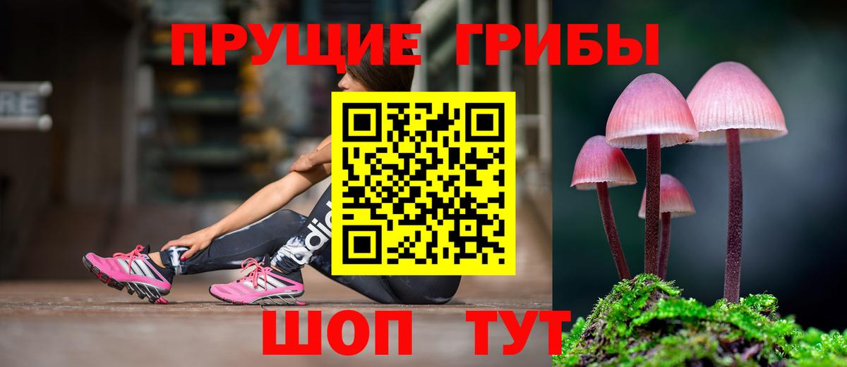 Псилоцибиновые грибы мицелий Бирск