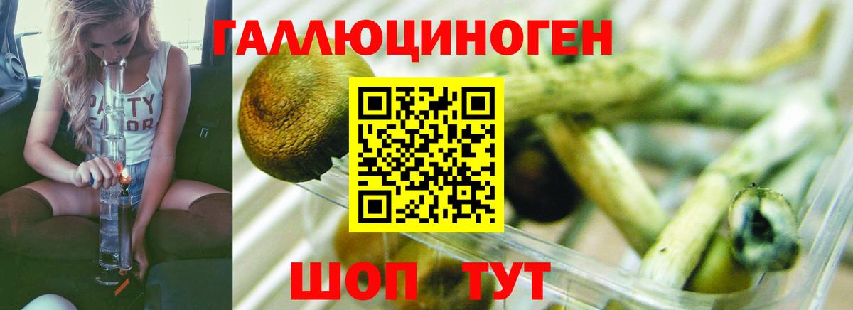 Галлюциногенные грибы MAGIC MUSHROOMS  Вход с VPN  где купить   Бирск  Псилоцибиновые грибы GOLDEN TEACHER 